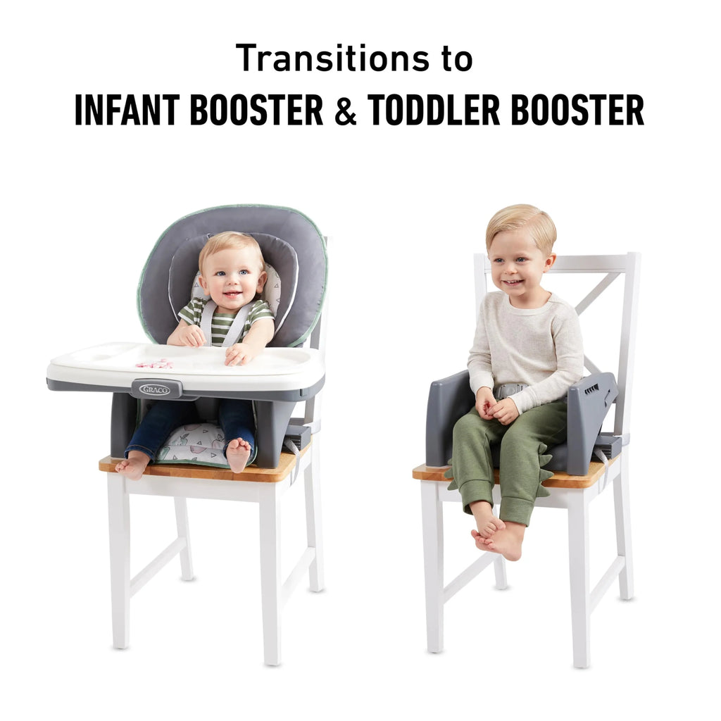 Graco? Table2Table? LX 6-in-1 Highchair