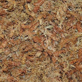 Sun Bulb Company Inc 50430 Better-Gro Sphagnum Moss, Growing Medium, 240 Grams