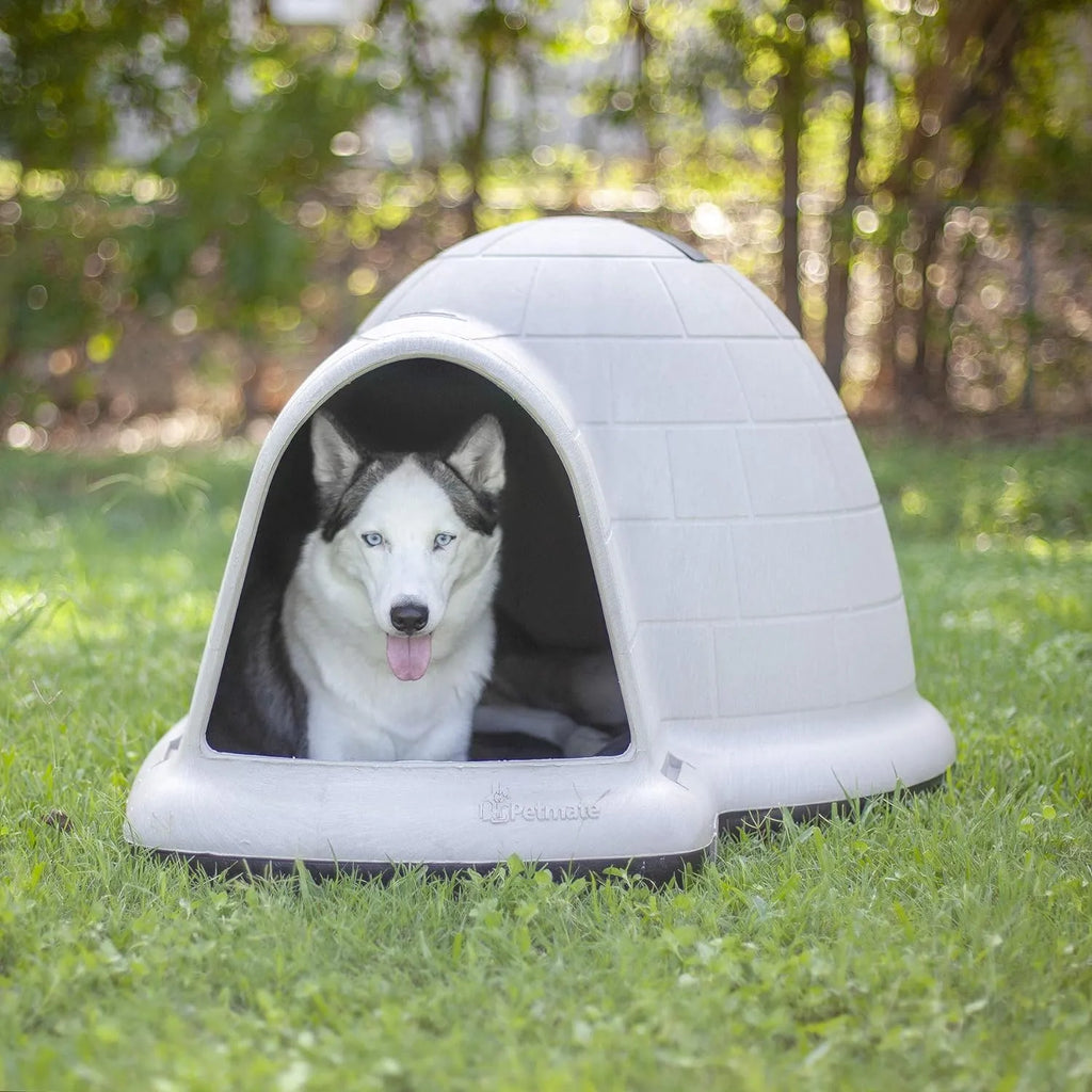 Petmate Indigo Dog House (Igloo Dog House. Made in USA with 90% Recycled Materials. All-Weather Protection Pet Shelter) for XL Dogs -90 to 125 pounds. Made in USA