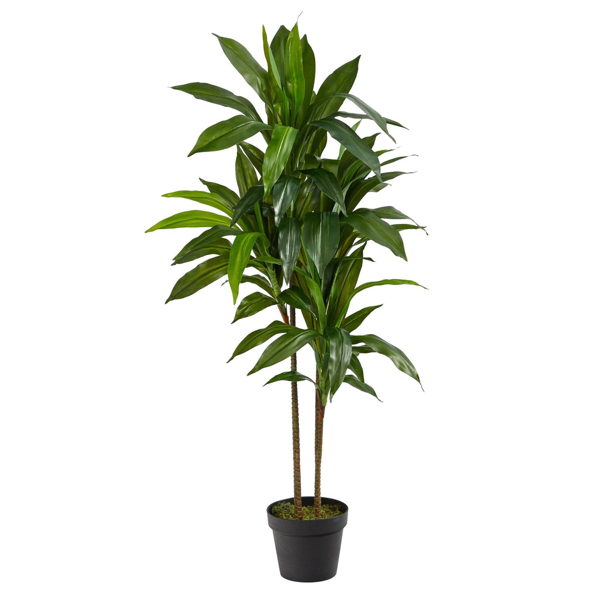 Nearly Natural 48" Dracaena Silk Plant (Real Touch)